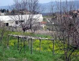 1 room Warehouse in Capannori, Italy No. 275137