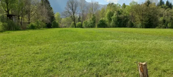 5-Zimmer Villa in Salzburg, Austria, Nr. 146925 10