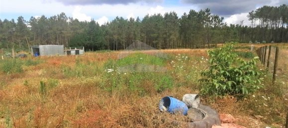 7 chambres Maison à Leiria, Portugal No. 152701 8