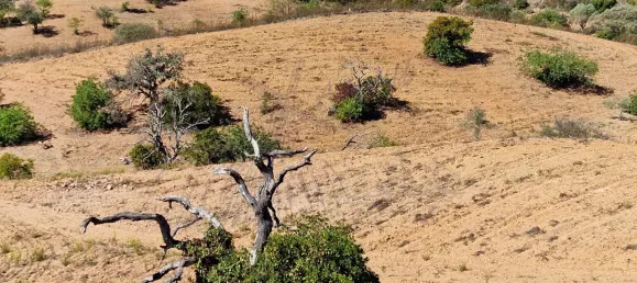 2 chambres Maison à Santa Catarina da Fonte do Bispo, Portugal No. 62403 18