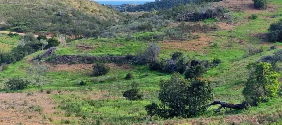 2 chambres Maison à Santa Catarina da Fonte do Bispo, Portugal No. 62403 22