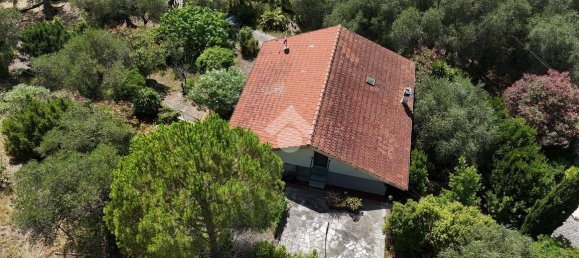 2 bedrooms Villa in Civezza, Italy No. 105873 44