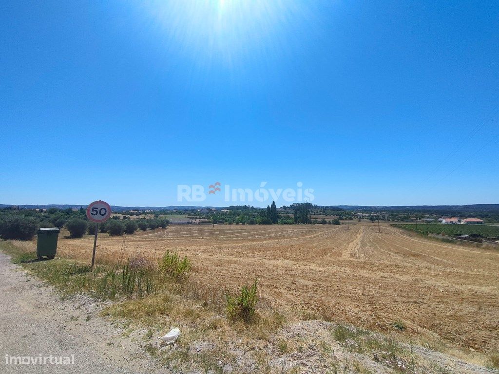 18880m² Land in Tomar, Portugal No. 319436