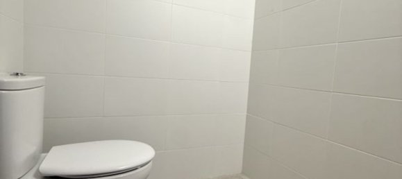 Gewerbliche Immobilie in Basque Autonomous Community, Spain 122m², Nr. 163775 13