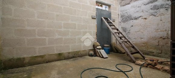 Studio à San Michele Salentino, Italy No. 37408 20