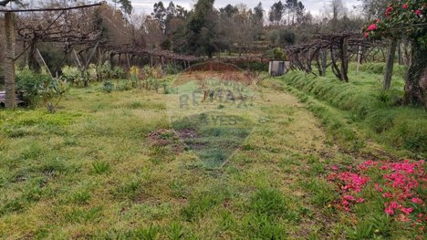 3850m² Land in Lavradas, Portugal No. 58514