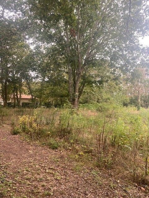  Land in Bruges, France No. 117764