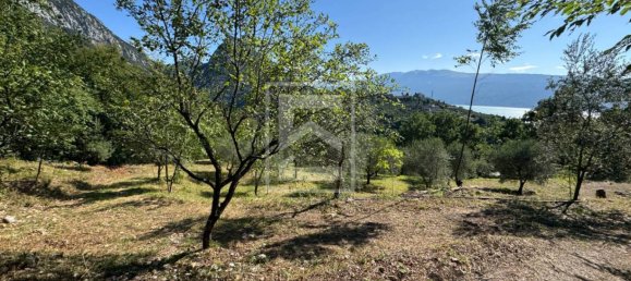 Terrain à Toscolano Maderno, Italy 6900m² No. 302664 14