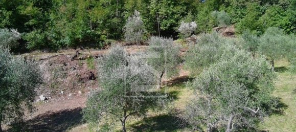 Terrain à Toscolano Maderno, Italy 6900m² No. 302664 11