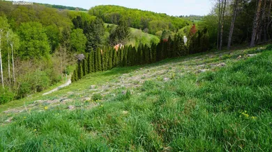  Land in Altlengbach, Austria No. 154633