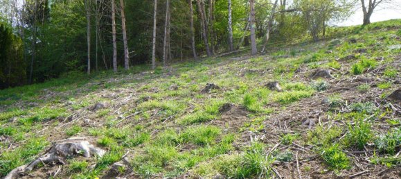  Land in Altlengbach, Austria No. 154633 6