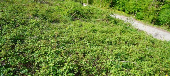  Land in Altlengbach, Austria No. 154633 5