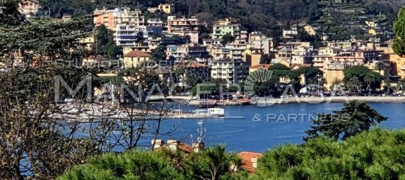 1 bedroom Apartment in Zoagli, Italy No. 145105 4