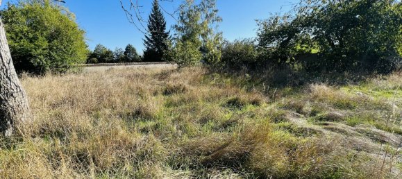 3-Zimmer Haus in Argent-sur-Sauldre, France, Nr. 302680 4