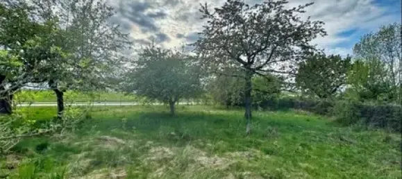 8 rooms Townhouse in Passau, Germany No. 169785 12