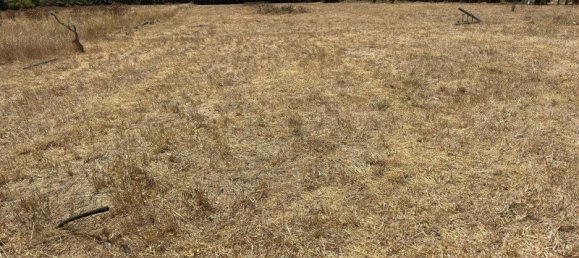 3 bedrooms House in Faro, Portugal No. 221391 3