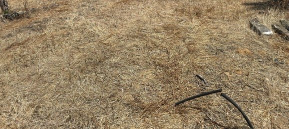 3 bedrooms House in Faro, Portugal No. 221391 6