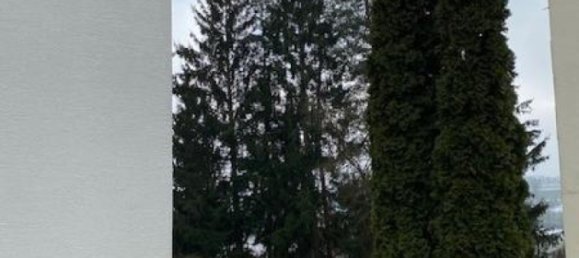 Studio in Passau, Germany, Nr. 14398 8