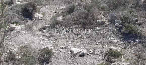 Grundstück in Gharb, Malta 1570m², Nr. 13325 5