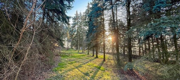 Terrain à Dresden, Germany No. 286895 3