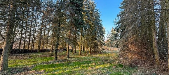 Terrain à Dresden, Germany No. 286895 2