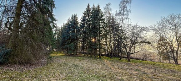 Terrain à Dresden, Germany No. 286895 4