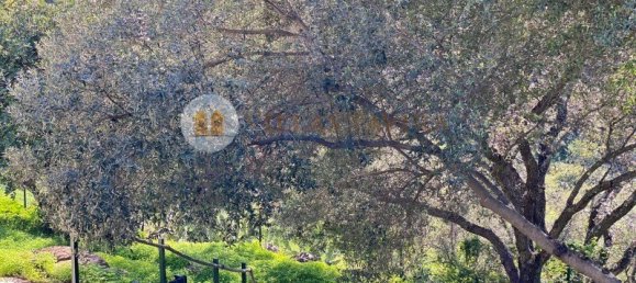 2 chambres Villa à Tavira, Portugal No. 127939 24