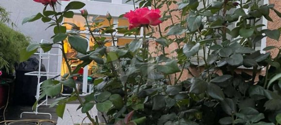 4 bedrooms Apartment in Oberhavel, Germany No. 90159 21