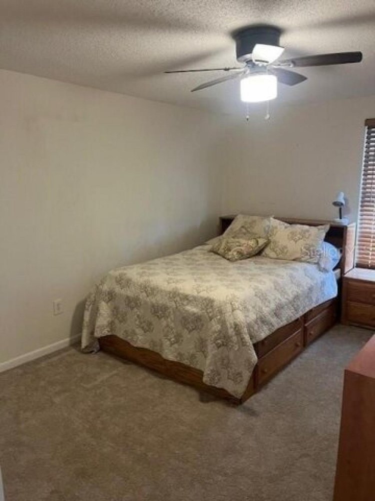 4 bedrooms House in Tampa, USA No. 309112