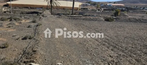 Land in Tuineje, Spain No. 188520 3