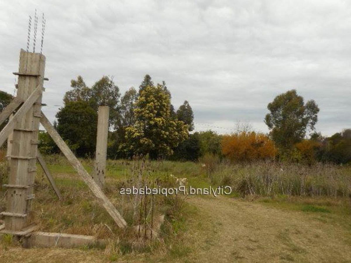  Land in Montevideo, Uruguay No. 16122