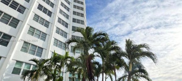 Propriedade comercial T2 em Miami, EUA N.º 615108 10
