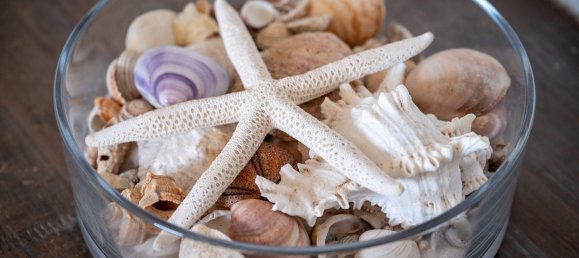 2 rooms Apartment in Olbia, Italy No. 72593 20