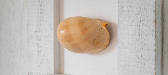 2 rooms Apartment in Olbia, Italy No. 72593 17