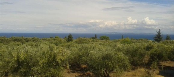 Terra em Zakynthos, Greece N.º 544 9