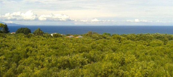 Terra em Zakynthos, Greece N.º 544 2
