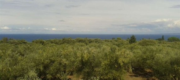 Terra em Zakynthos, Greece N.º 544 8