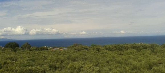 Terra em Zakynthos, Greece N.º 544 10