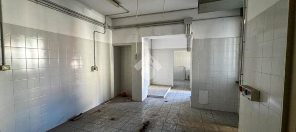 Propiedad comercial de 7 habitaciónes en Cernusco Lombardone, Italy No. 75848 2