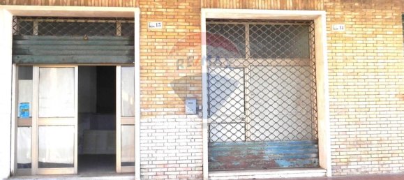 1 room Commercial property in Sabaudia, Italy No. 52601 13