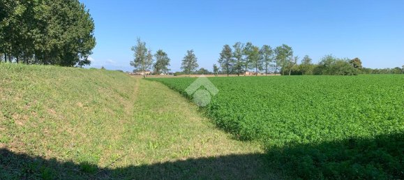 Studio in Mestrino, Italy No. 108705 24