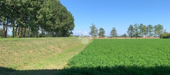 Studio in Mestrino, Italy No. 108705 28