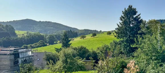 6 غرف نوم منزل في Rhein-Neckar-Kreis, Germany رقم 269924 8