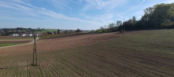  Land in Alkoven, Austria No. 87034 7