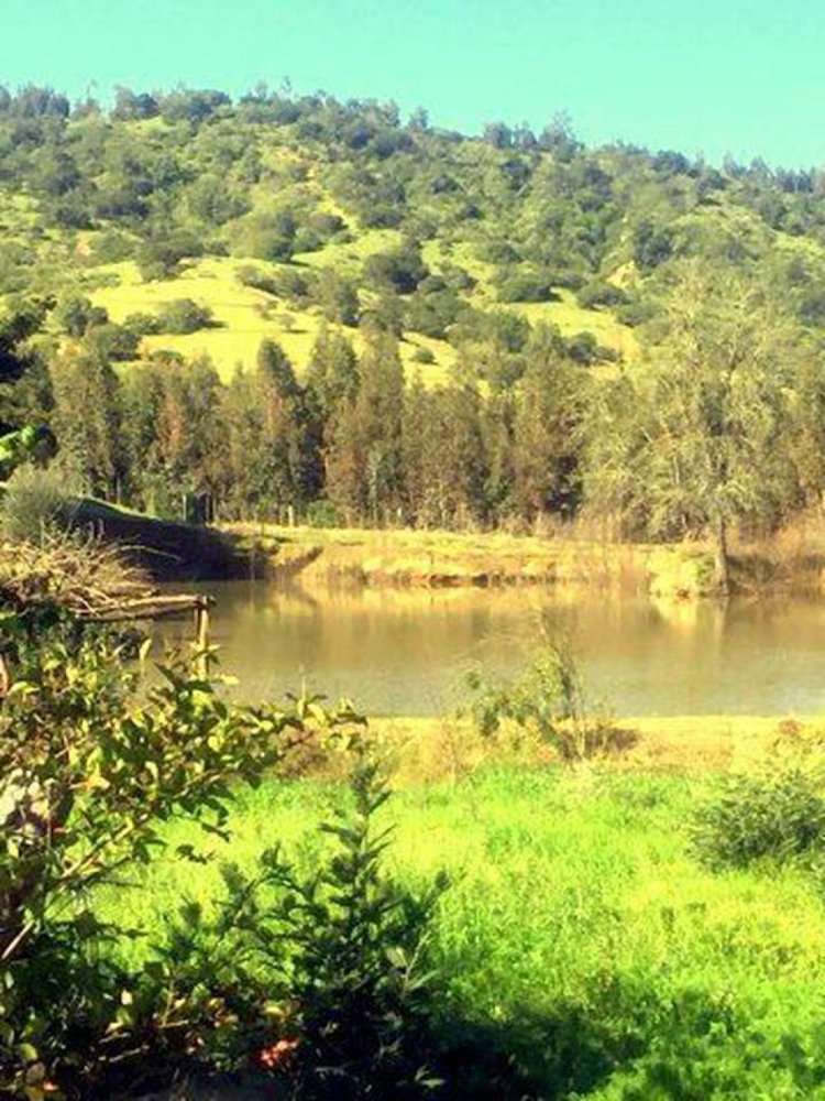 1 bedroom Commercial property in Villa O'Higgins, Chile No. 55