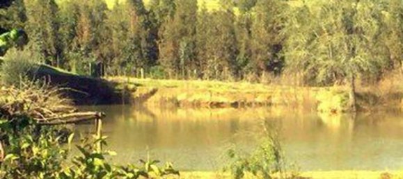 1 bedroom Commercial property in Villa O'Higgins, Chile No. 55 2