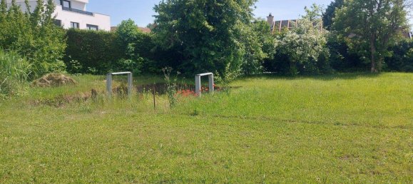 3-Zimmer Bungalow in Enzersdorf an der Fischa, Austria, Nr. 215797 9