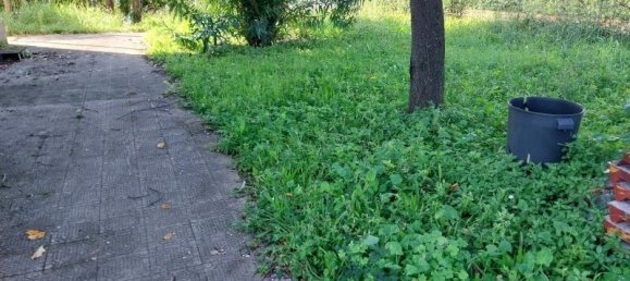 10 rooms Villa in Camaiore, Italy No. 236962 5