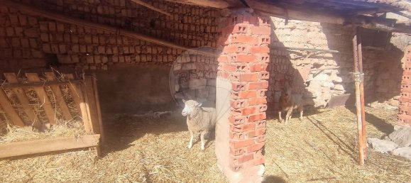 3 bedrooms House in Alcobertas, Portugal No. 188671 11