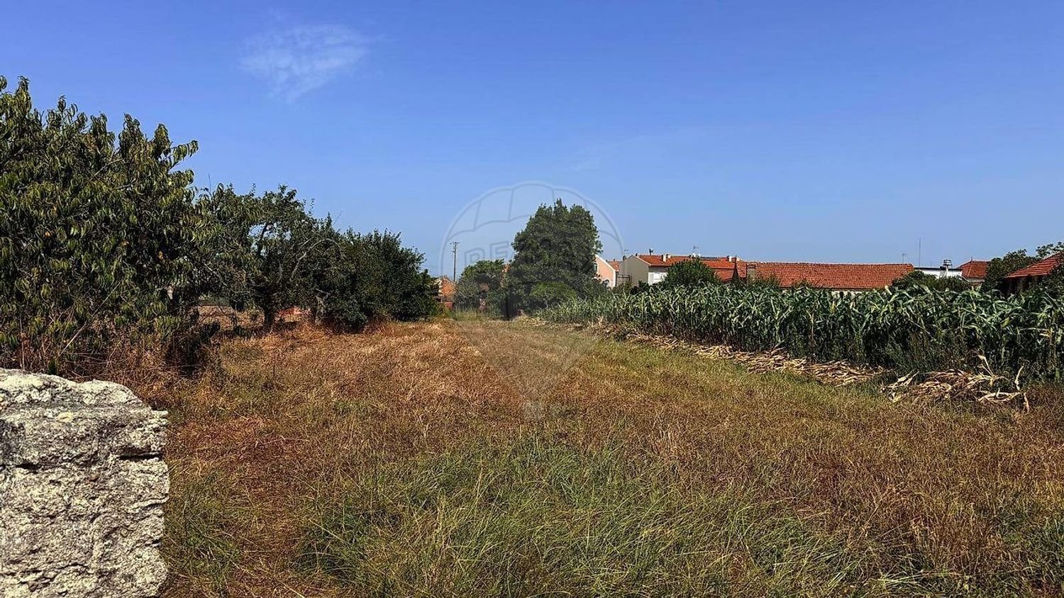  Land in Oliveira do Bairro, Portugal No. 318641